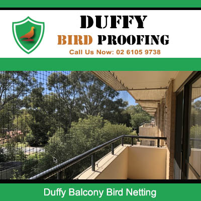 Professional balcony bird netting for unit in Duffy ACT