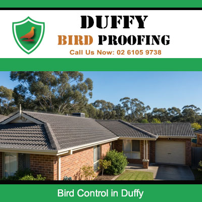 Complete bird control system for family house in Duffy Australia