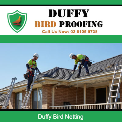 Professional bird netting installation on residential home in Duffy Canberra