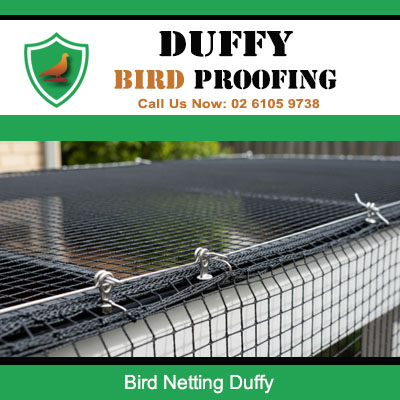 Close up of professional bird netting mesh installed on gutter in Duffy Canberra