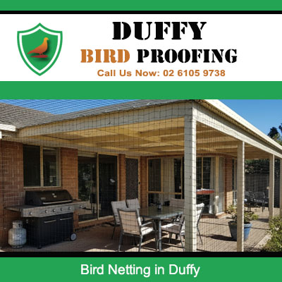 Bird netting installed on outdoor patio and pergola area in Duffy Canberra