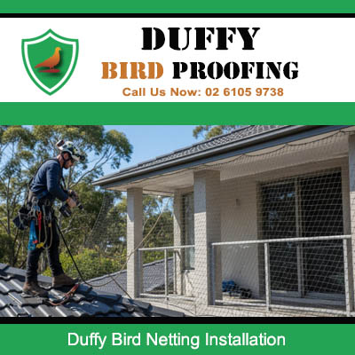 Professional bird netting installation to home outdoor area in Duffy ACT
