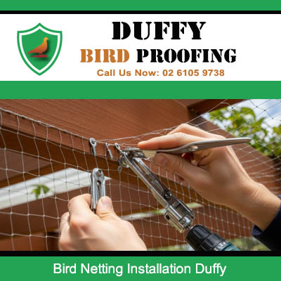 Quality bird netting installation detail by specialist in Duffy suburb
