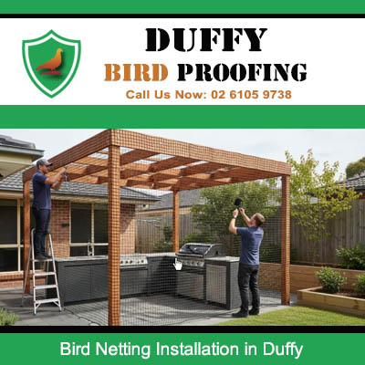 Expert bird netting installation on backyard pergola in Duffy Australia