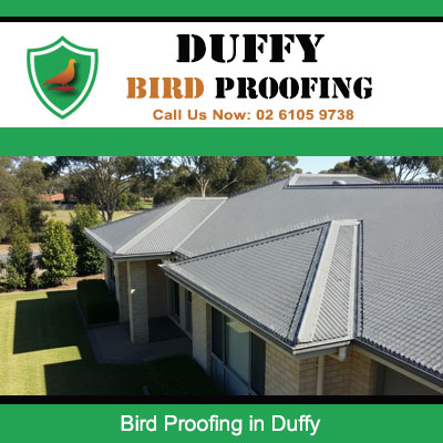 Complete bird proofing solution installed on Duffy home with Colorbond roof