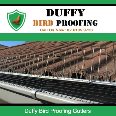 Professional gutter bird proofing with deterrent spikes in Duffy ACT