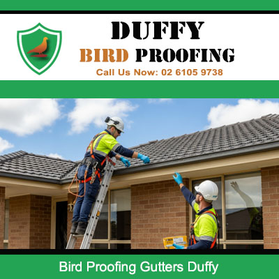 Technicians installing bird proofing on residential roof gutters in Duffy Canberra
