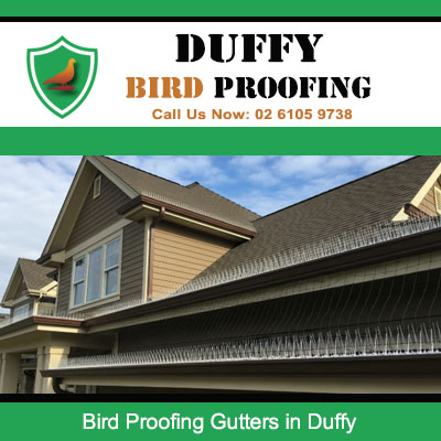Quality bird proofing gutter system on residential home in Duffy ACT