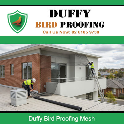 Technician installing bird proofing mesh on modern home balcony in Duffy Canberra