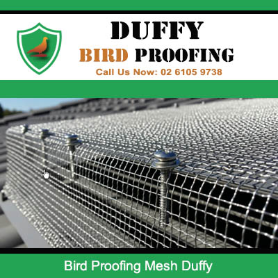 Close up of professional bird proofing wire mesh installed on roof in Duffy Canberra