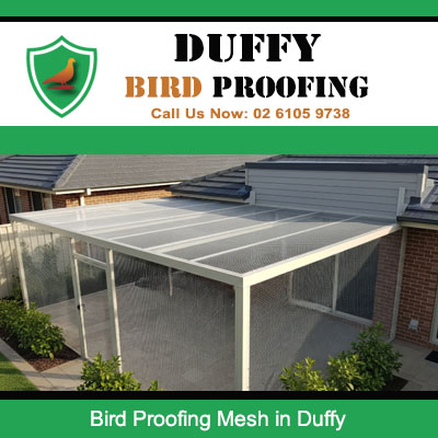 Expert bird proofing mesh system for backyard entertainment space in Duffy suburb