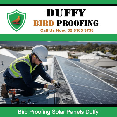 Technician installing bird proofing mesh under solar panels in Duffy Canberra