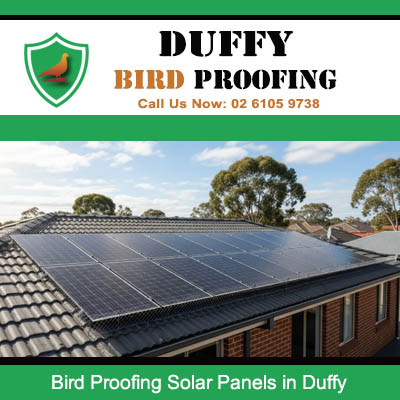 Complete bird proofing protection installed on solar panel system in Duffy Canberra