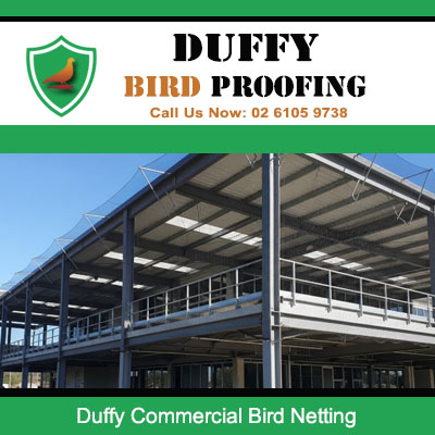 Commercial bird netting installation on industrial building structure in Duffy Canberra