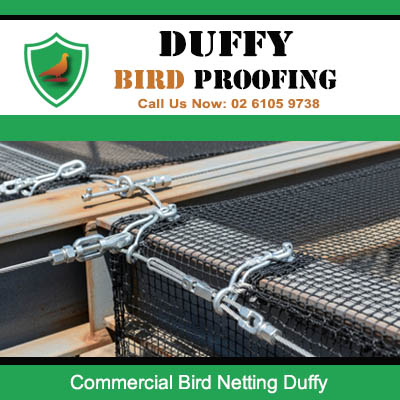 Close up of commercial bird netting mesh on industrial roof in Duffy Canberra
