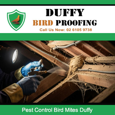 Professional bird mite pest control treatment in Duffy ACT roof space